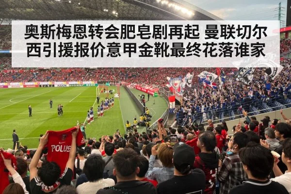 football stadium fans