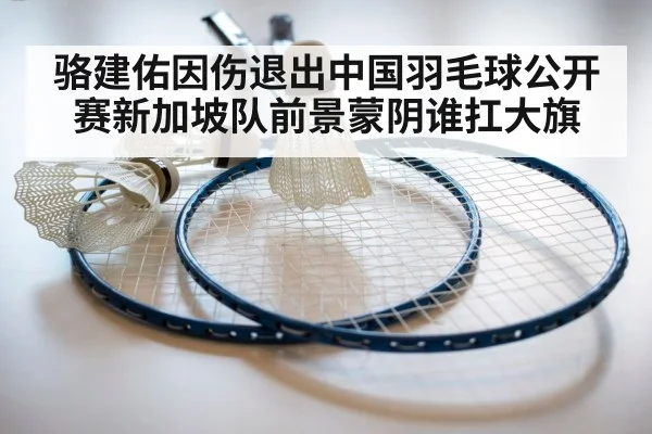 骆建佑因伤退出中国羽毛球公开赛新加坡队前景蒙阴谁扛大旗